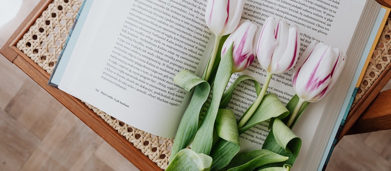 成考和自考到底哪個更好？